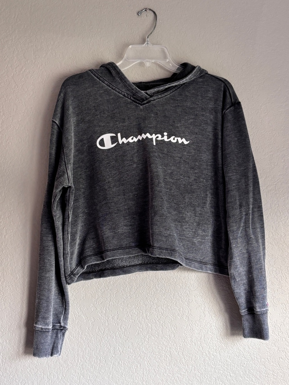 Champion Women's L Washed Charcoal Cropped Hoodie